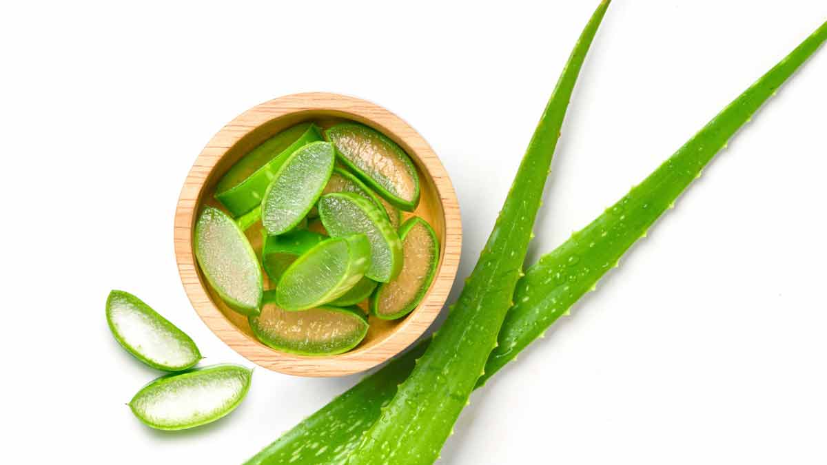 aloe vera gel uses for hair