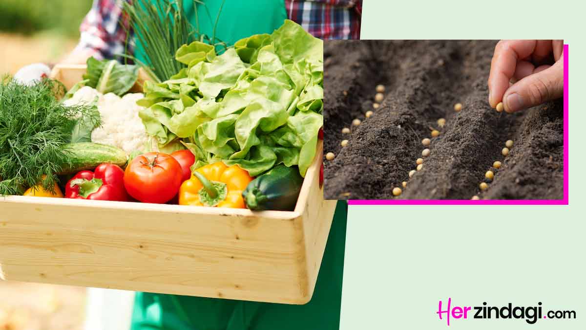 best vegetables to grow in april in hindi