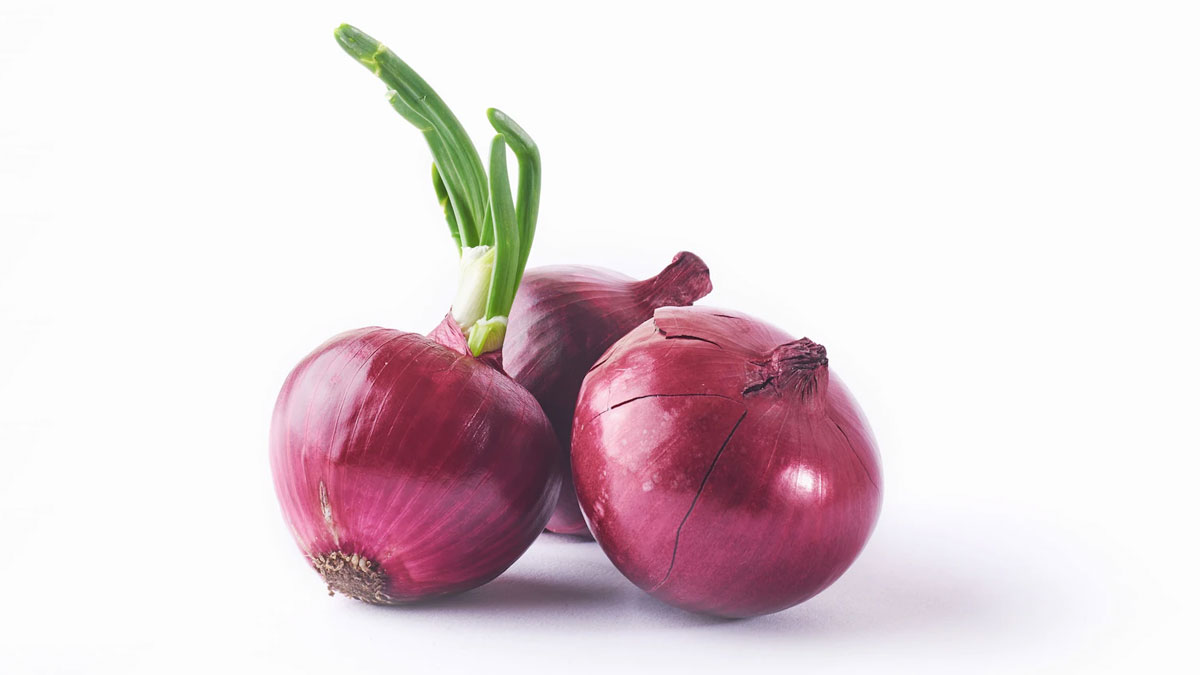 best ways to get rid of rats