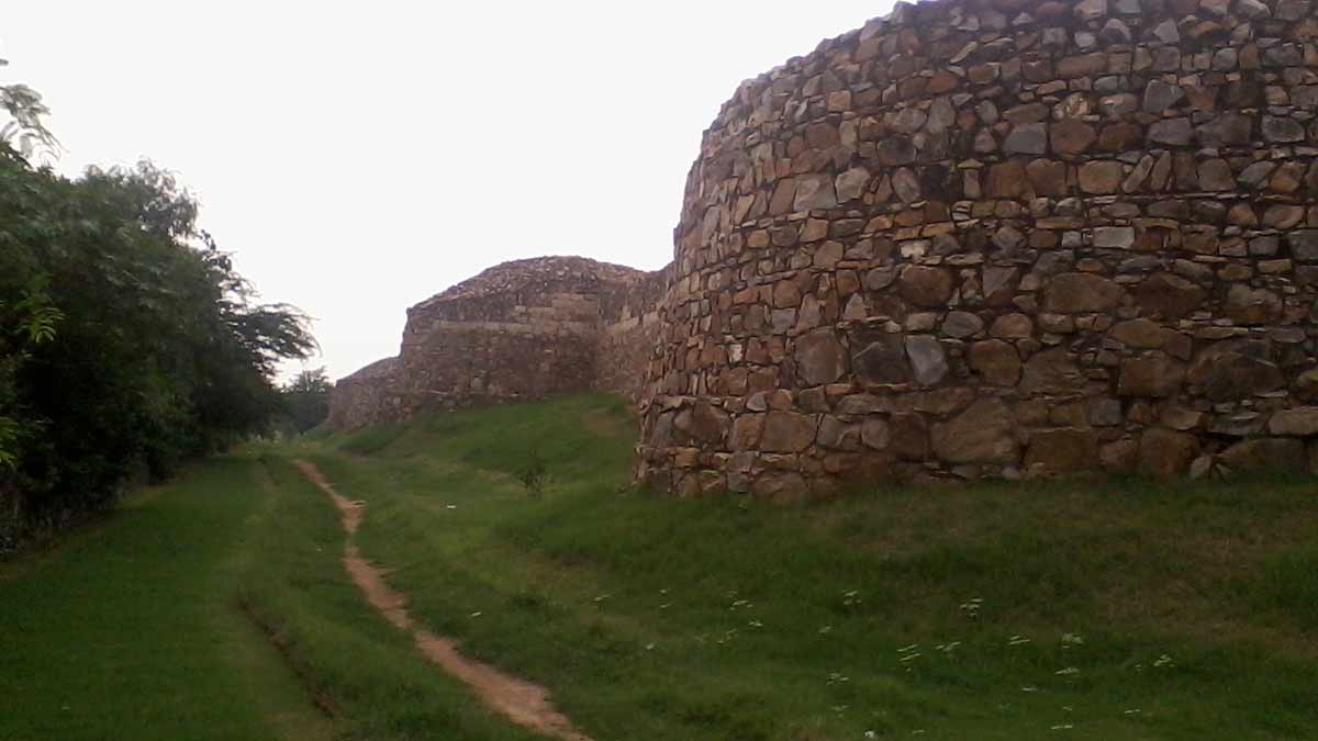 butterfly park arounr inside 