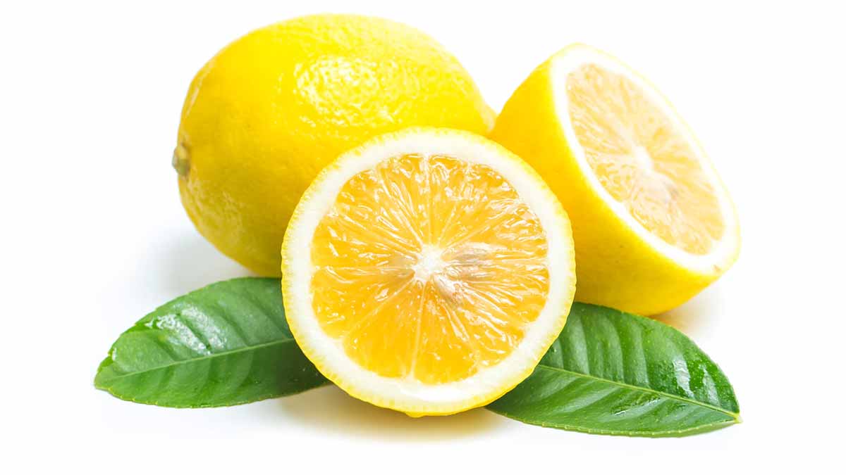 dandruff and fenugreek seeds