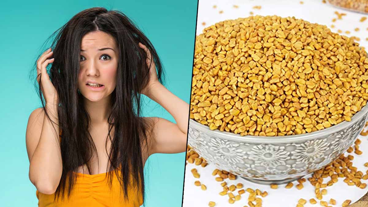 different ways to treat dandruff with the help of fenugreek seeds
