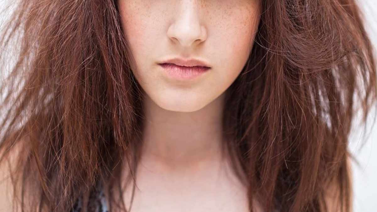 dry and frizzy hair care solutions