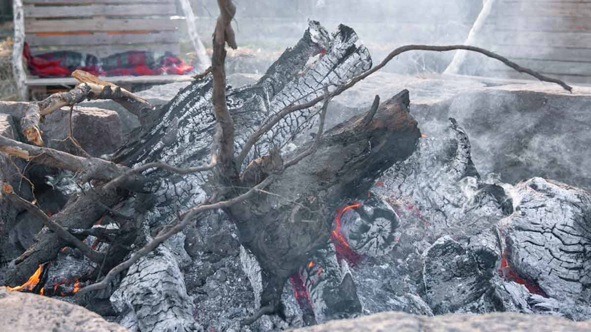 gardening tips in hindi ()