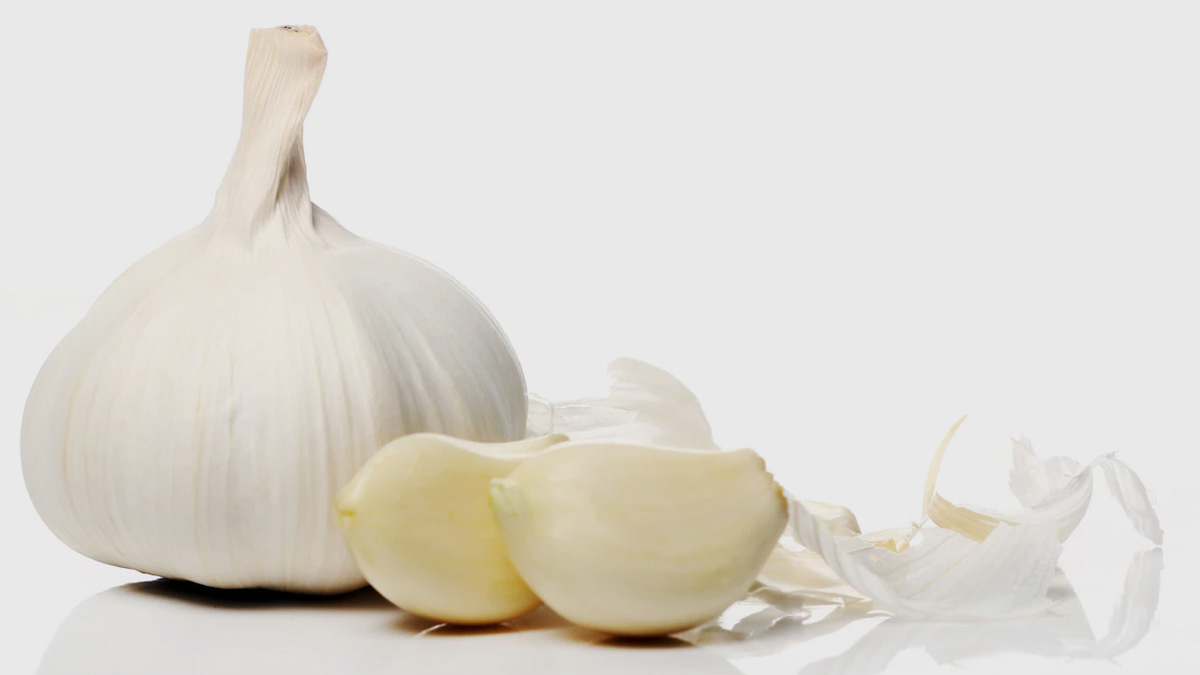 get rid of rats in hindi