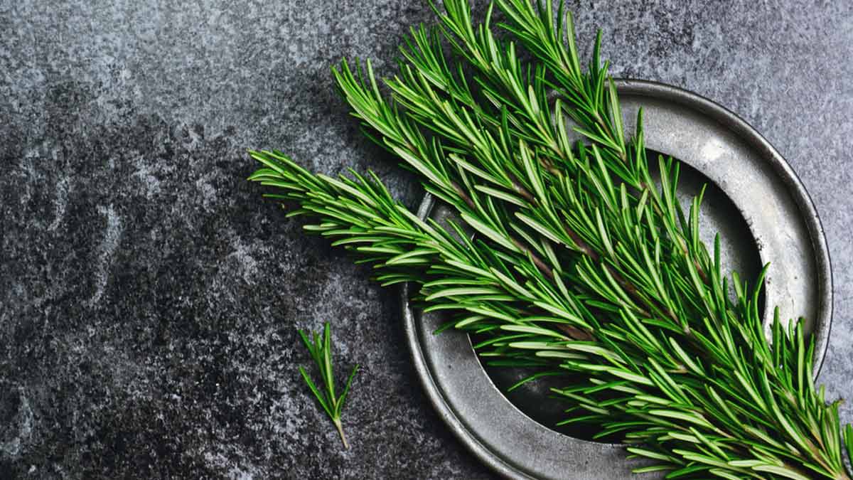 gharelu  nuskhe  for  healthy  scalp