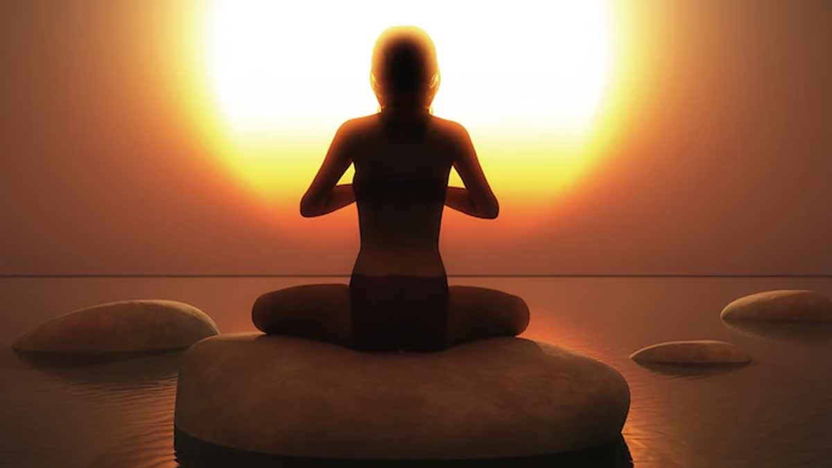 hibiscus  astro  tips