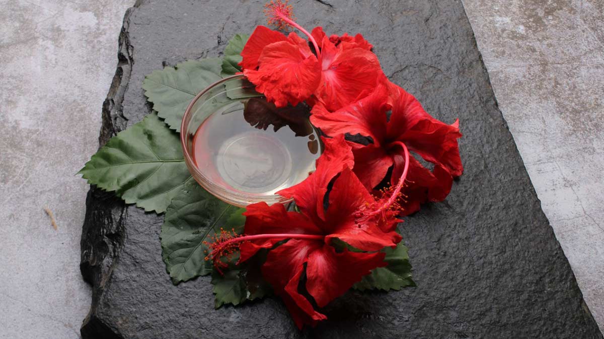 hibiscus  water  for  hair
