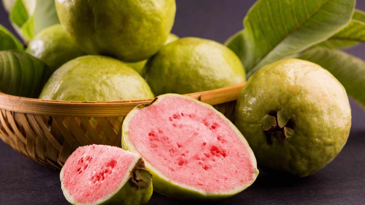 how to ripen raw guava tips