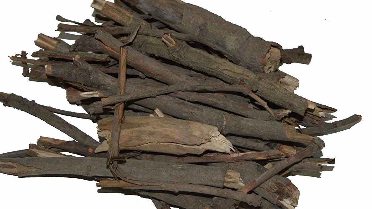 ingredients for havan samagri