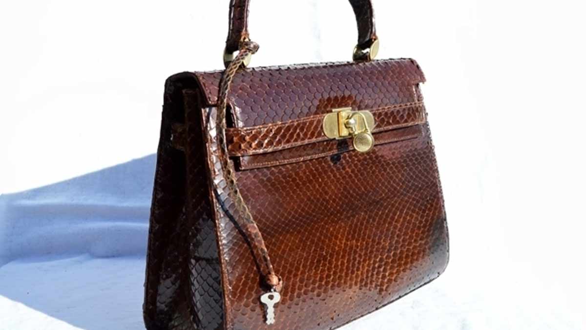 Nita Ambani's Hermès handbag with 240 studded diamonds costs