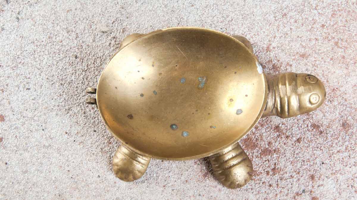 metal turtle benefits