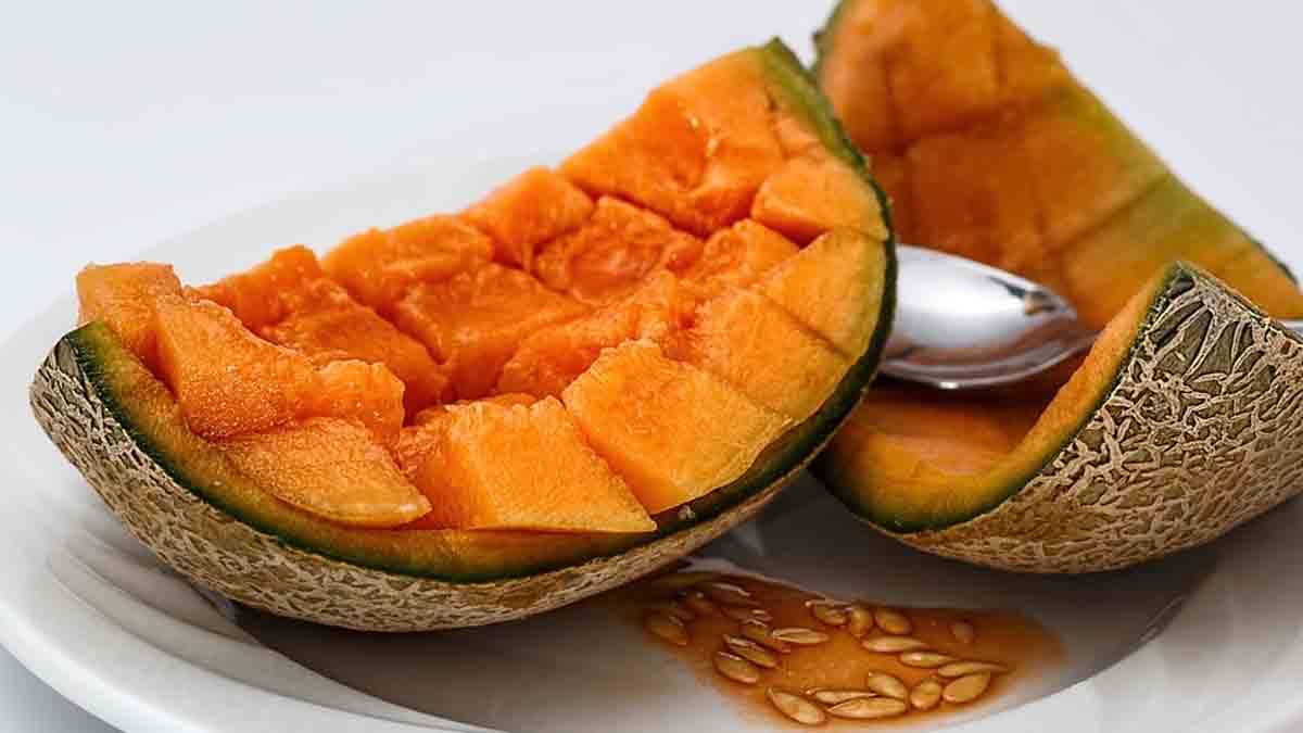muskmelon mask for dry lips