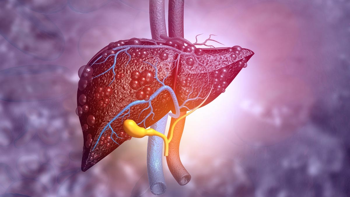 organ interesting facts liver