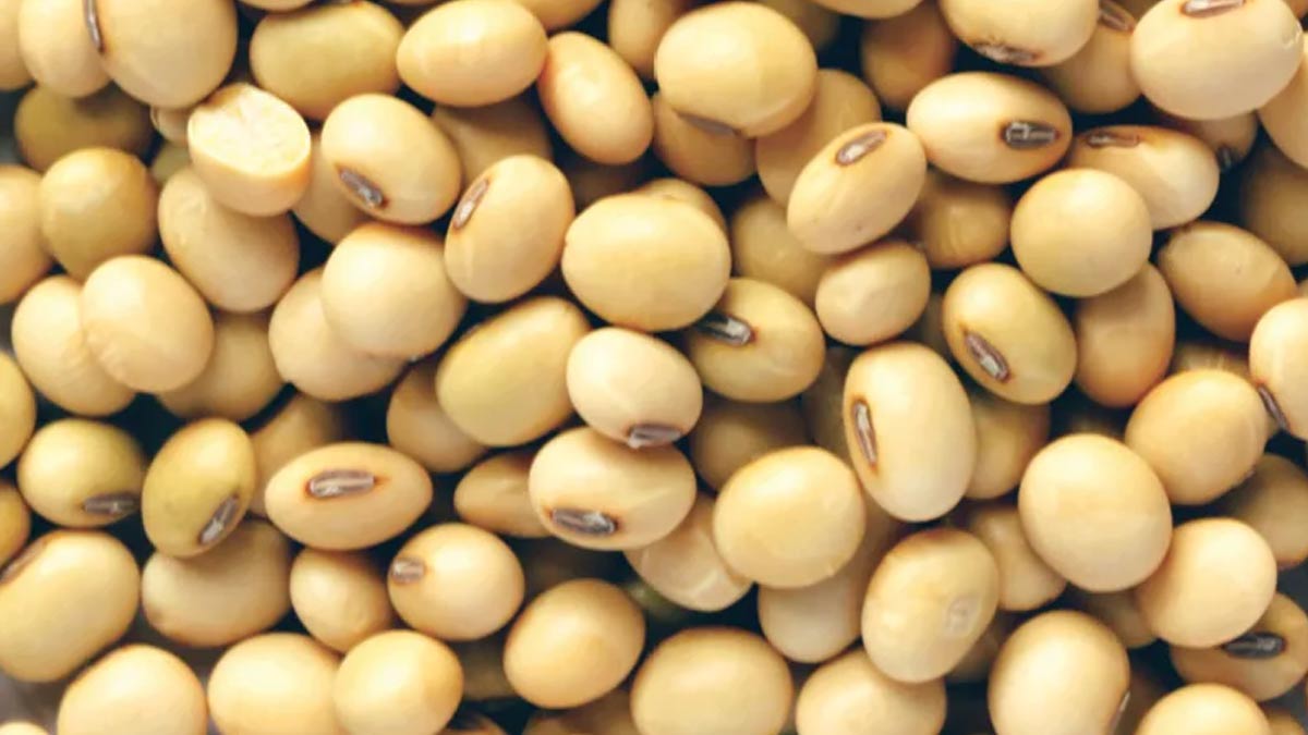 soya and vaginal health