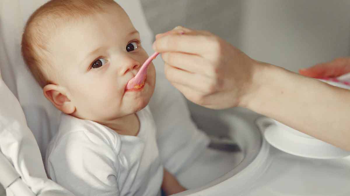 start solid foods to baby diet by expert