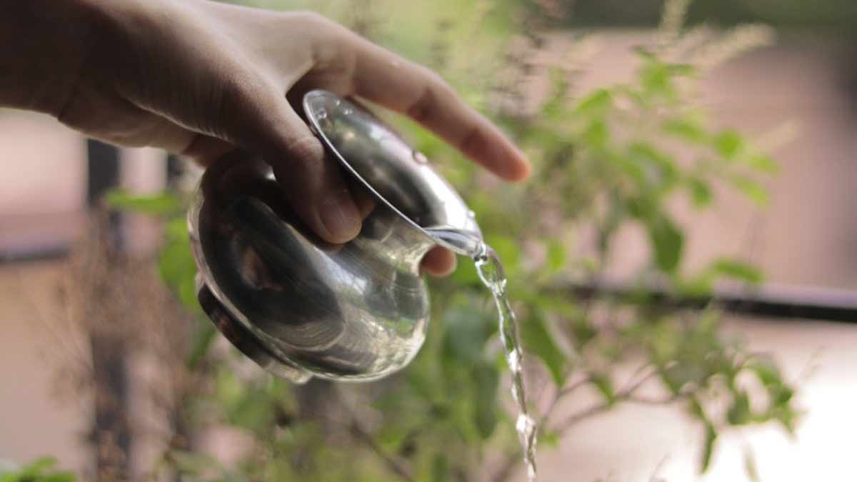 tulsi  chamatkari  totke