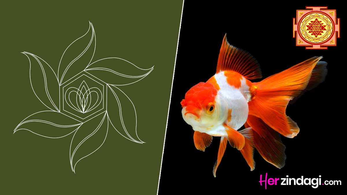 Here's how aquariums in Vastu can help you earn good karma