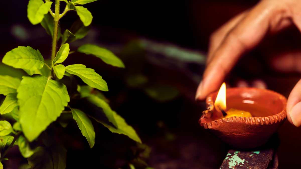 vastu  tips  to  plant  tulsi  in  hindi