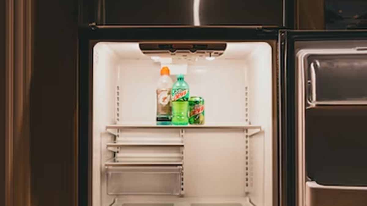 ऑनलाइन फ्रिज खरीदने से पहले पढ़े ये टिप्स। How To Buy The Right
