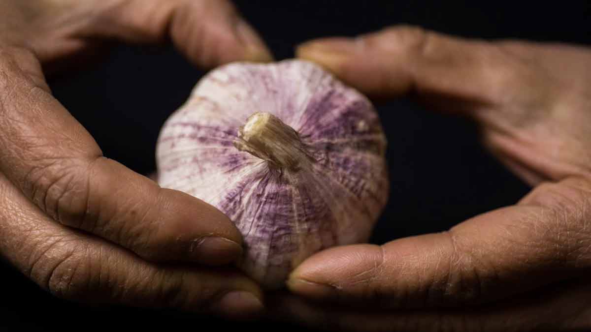 Easy garlic peeling hacks