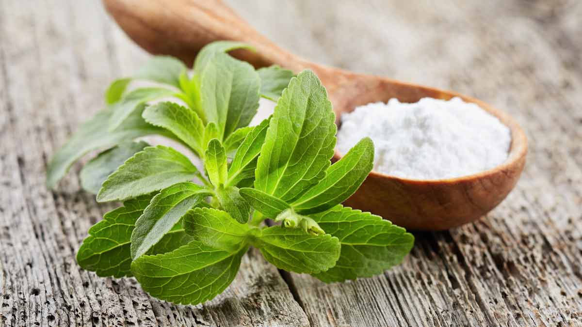 Insulin Plant Benefits In Diabetes,