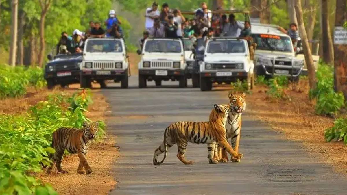 Sariska National Park