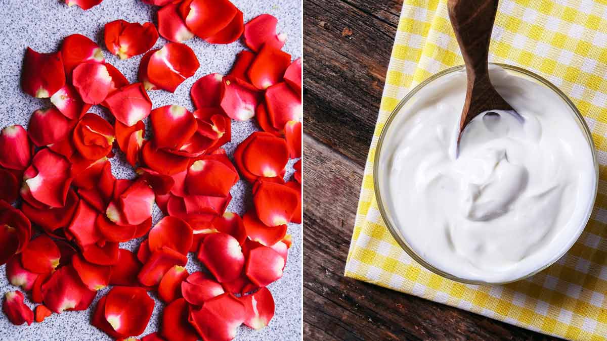 Yogurt And Rose Pack