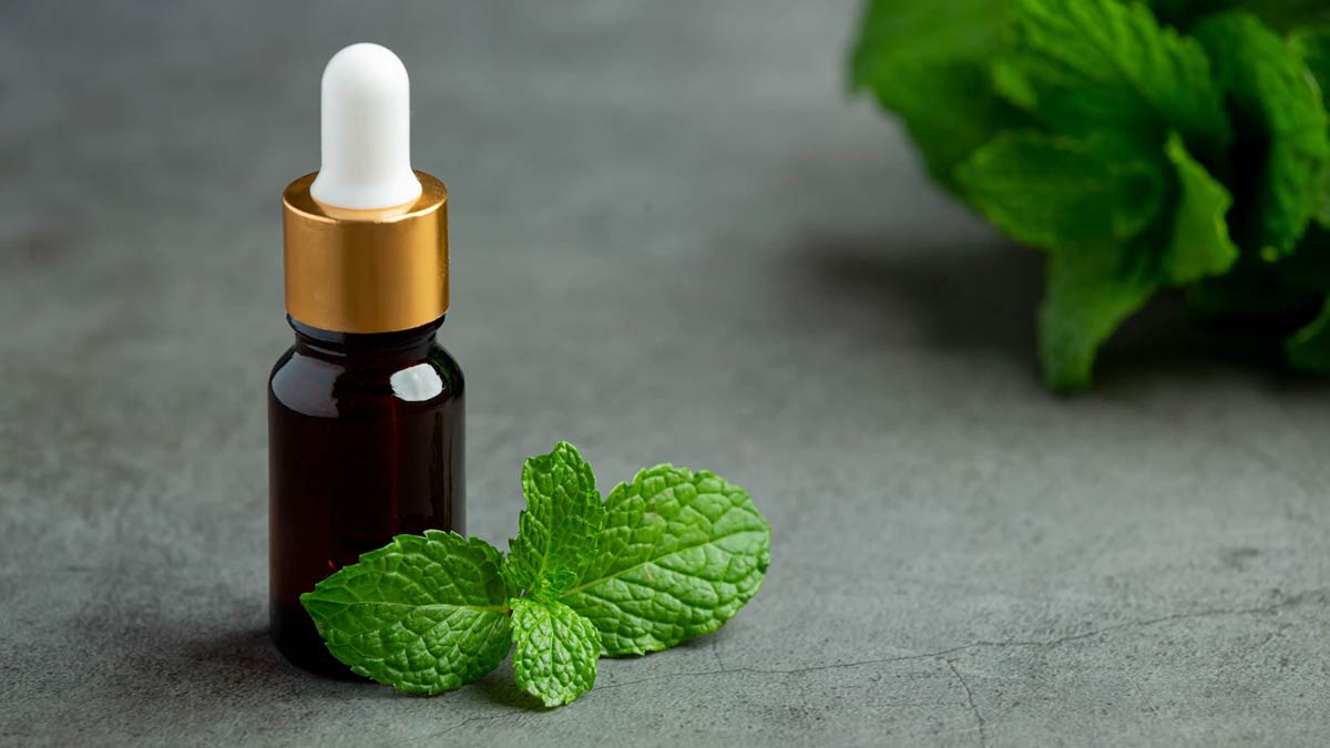 aloe vera and mint oil