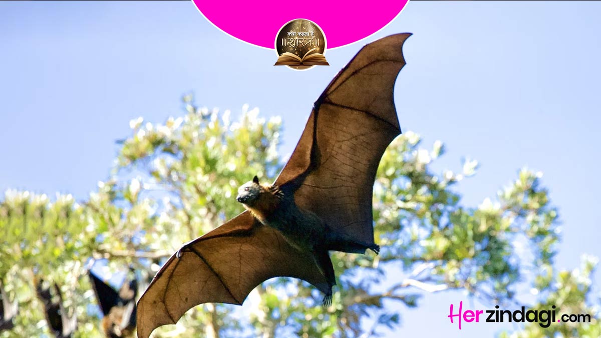 bat-at-home-ghar-me-chamgadar