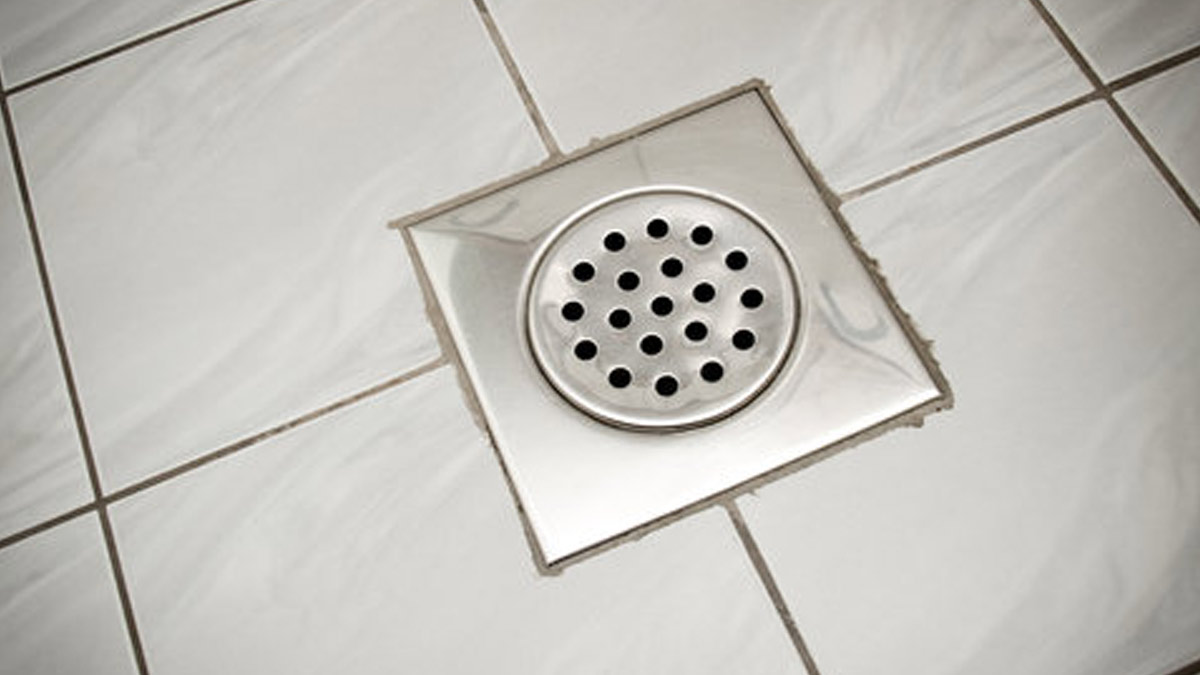 borax powder for bathroom insects