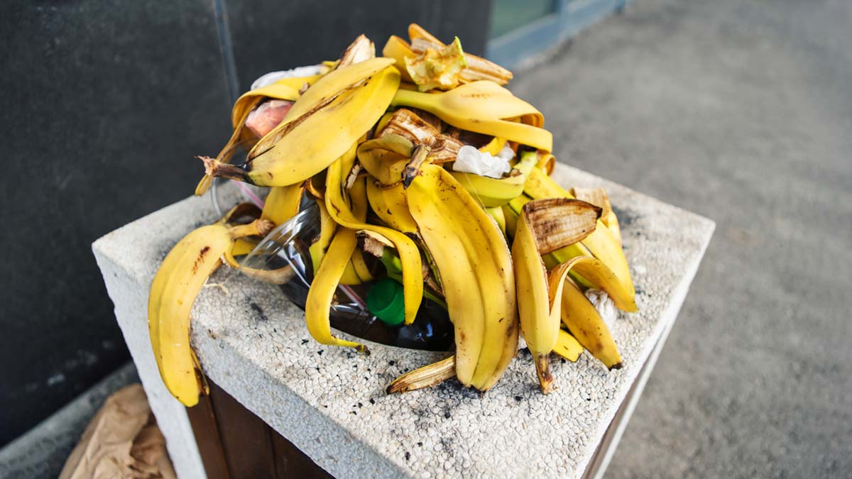 compost from banana peel