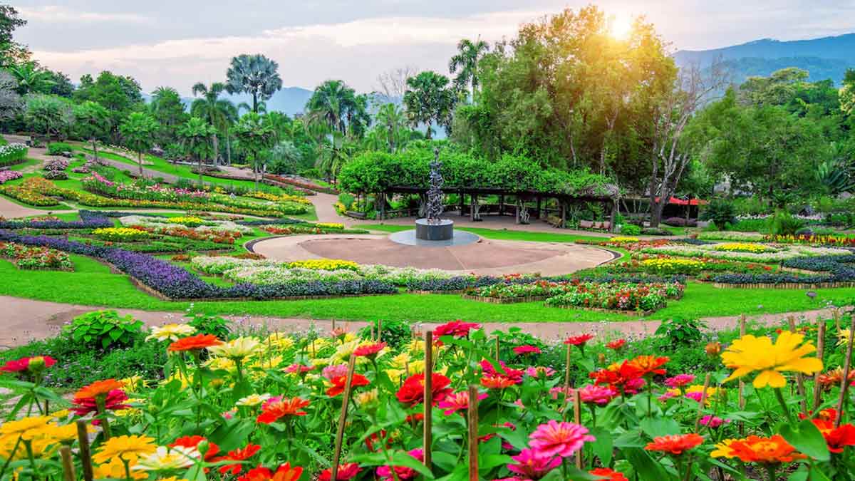 How To Make My Garden Look Beautifulगार्डन को कैसे बनाएं सुंदर