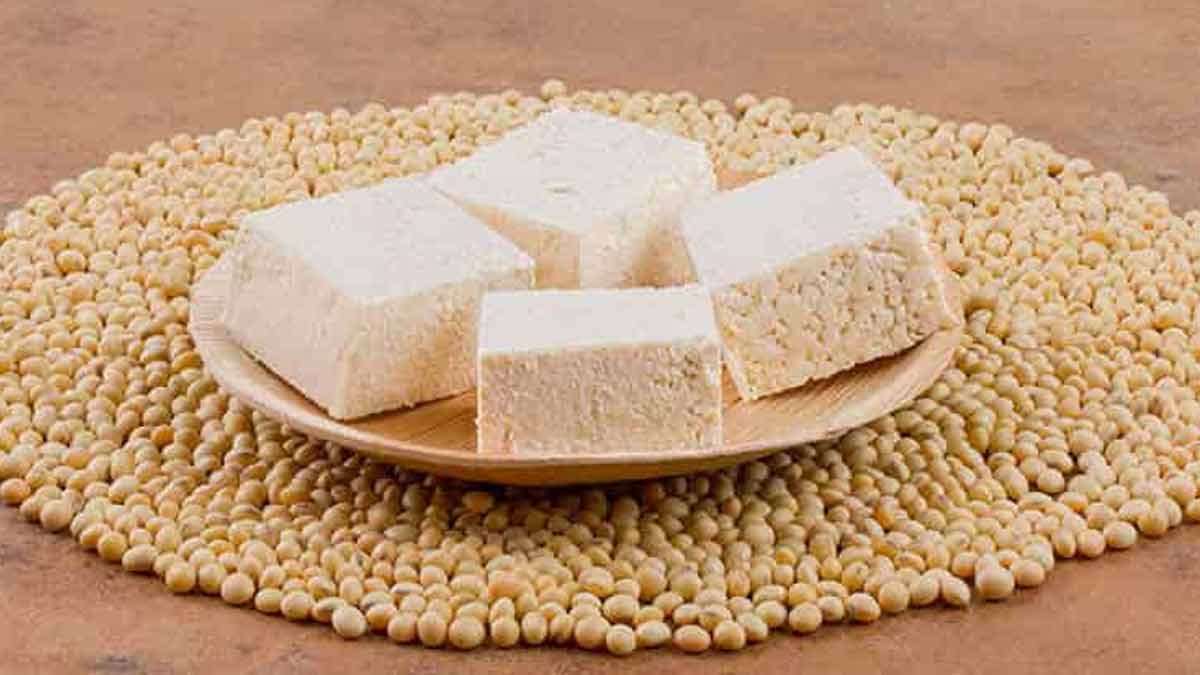 टोफू बनाने का तरीका How To Make Soya Paneer Tofu Kaise Banate Hai How To Make Paneer From