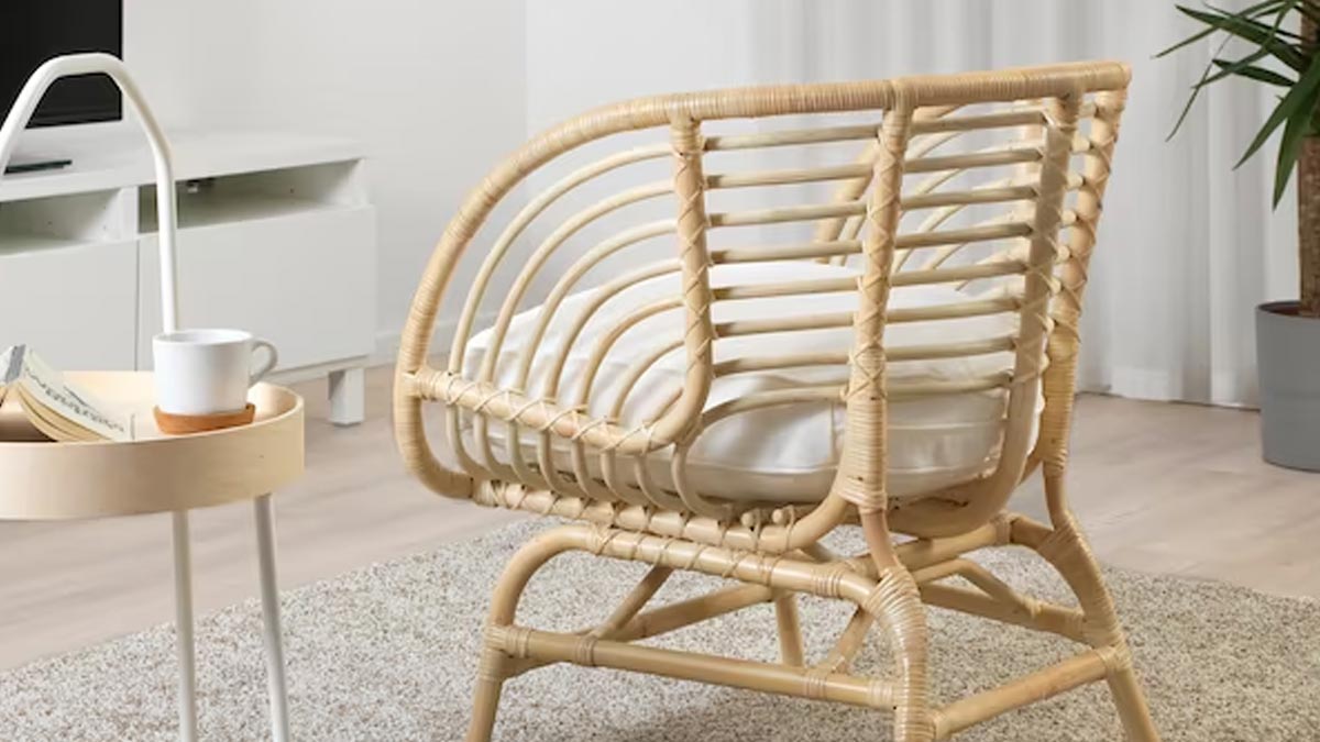 Why Rattan Furniture is So Expensive रत्तन फर्नीचर इतना महंगा क्यों