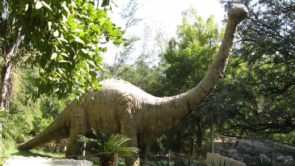 Fossil Park In India भारत में मौजूद फॉसिल पार्क Bharat Me Maujud