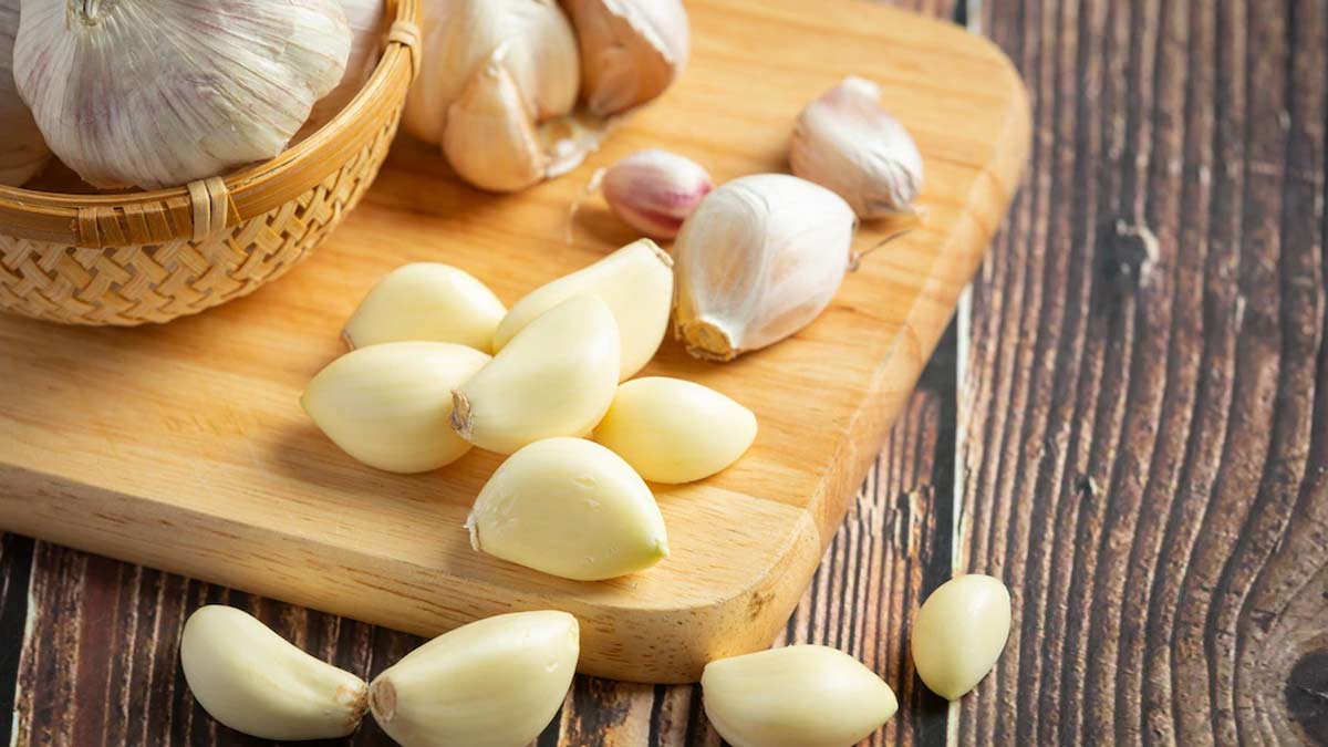 garlic