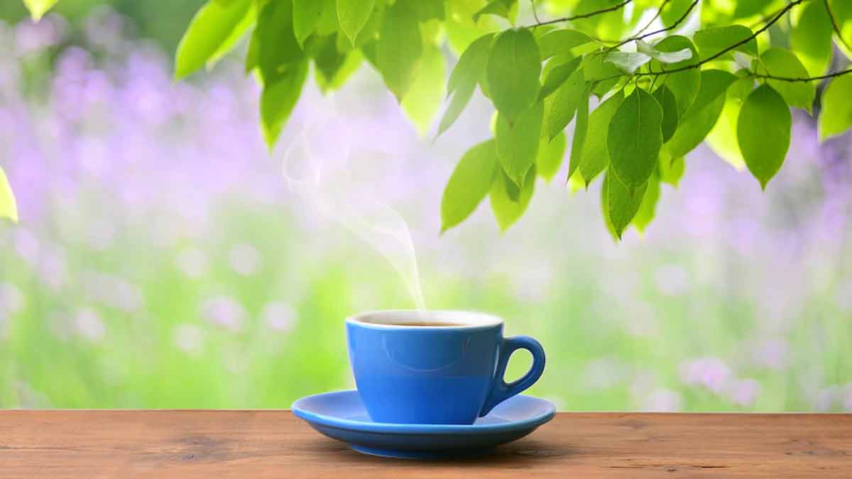 green tea for weight loos in hindi