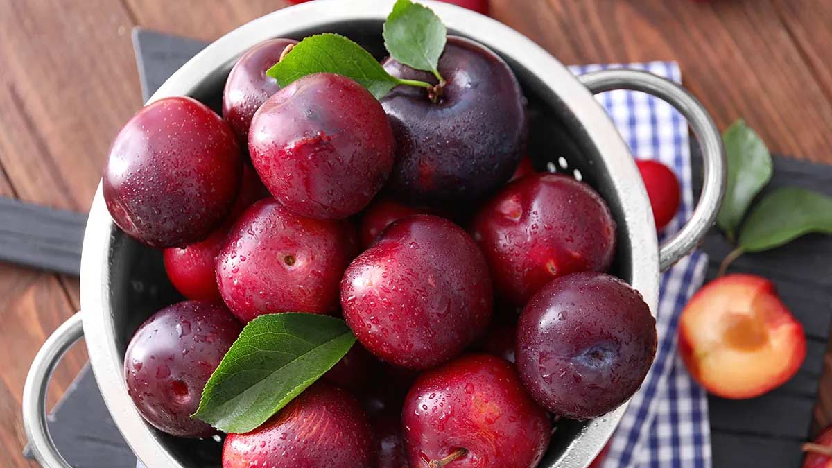 how to check wax on plums