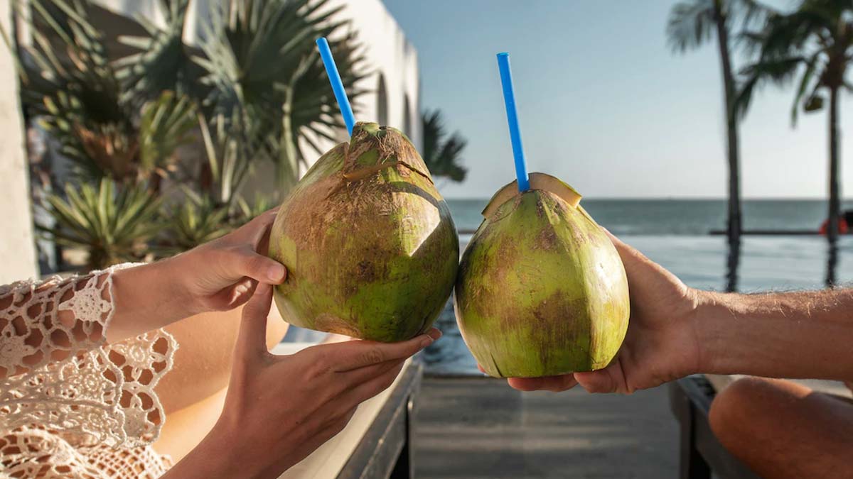 how to choose right coconut with husk