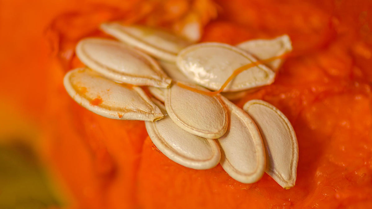 how to eat pumpkin seeds
