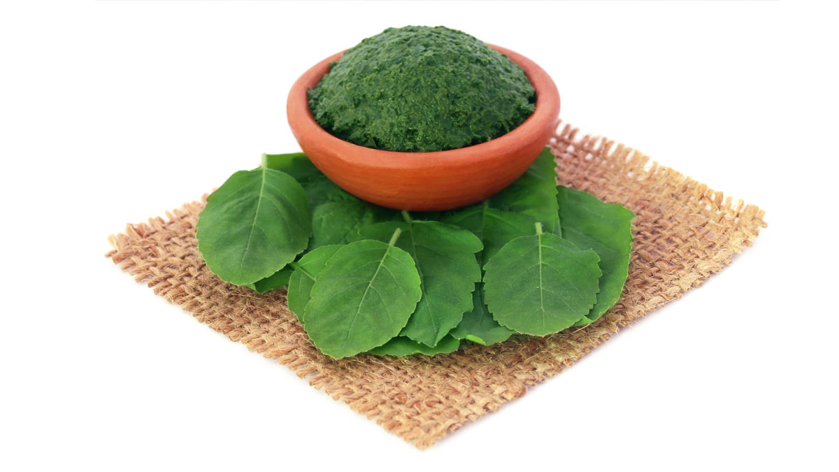 leaves basil hairfall