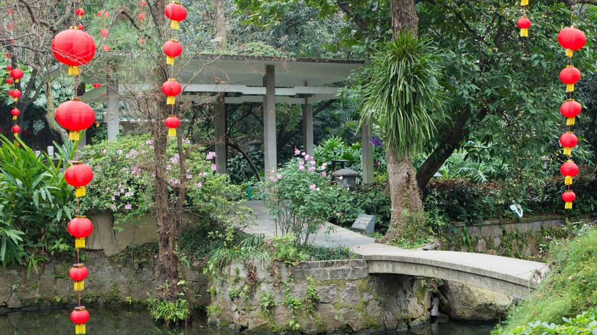 How To Make My Garden Look Beautifulगार्डन को कैसे बनाएं सुंदर