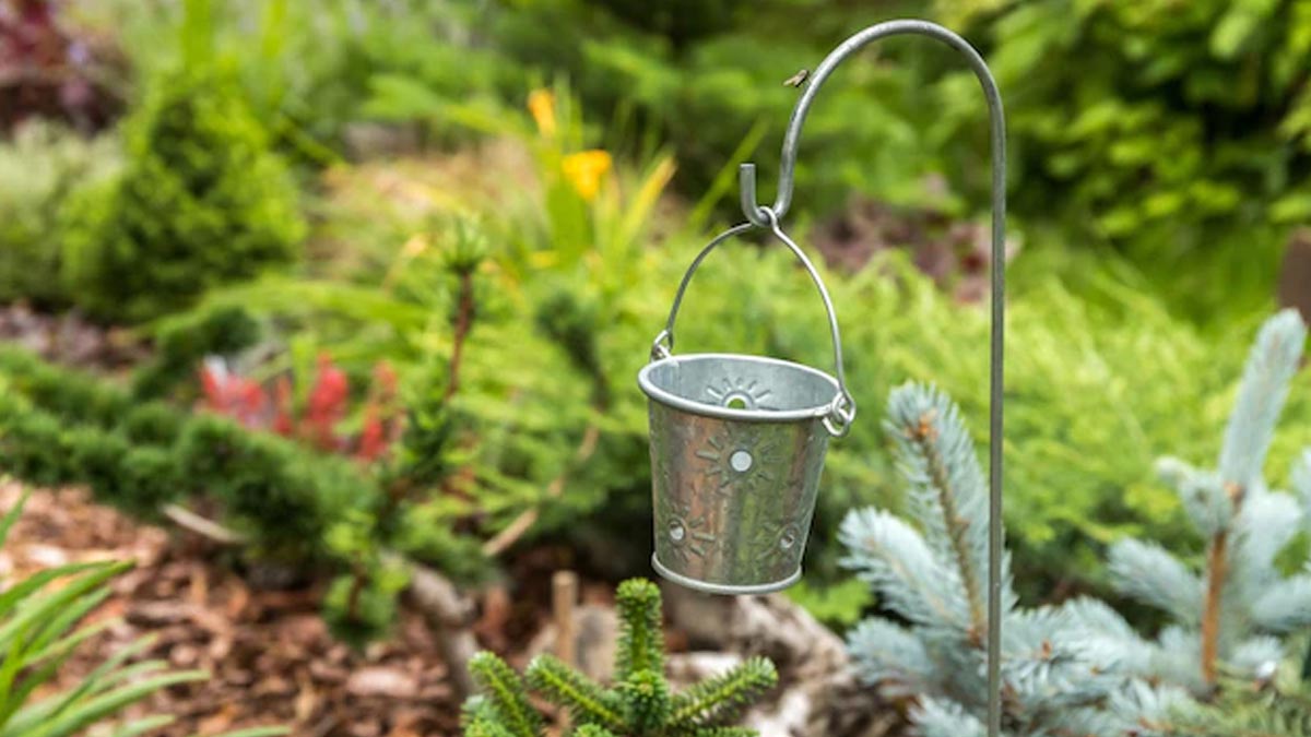 mosquitoes breeding in garden