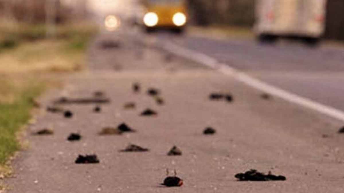 most horror places in assam