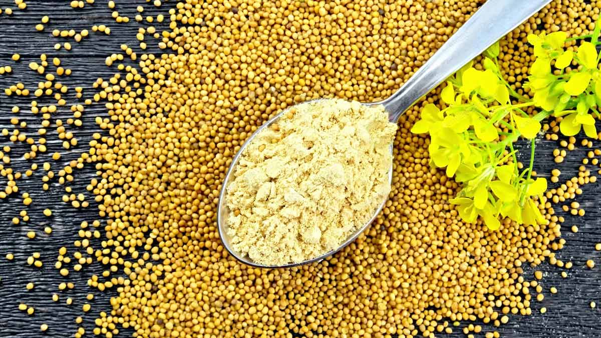 mustard powder making tips at home