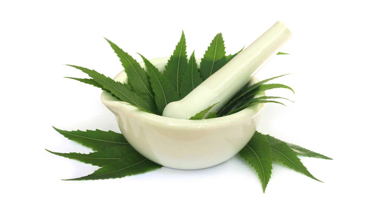 neem for kill cockroach