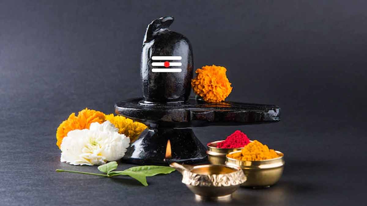 never keep shivling in tulsi plant