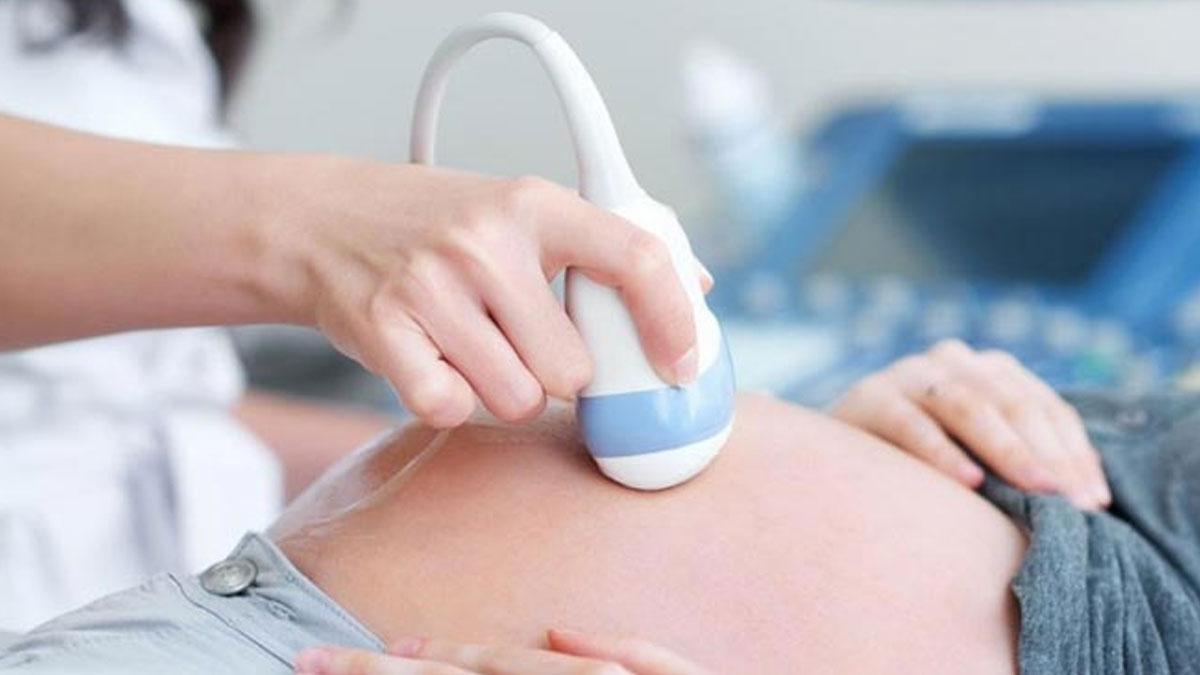 periods and pregnancy