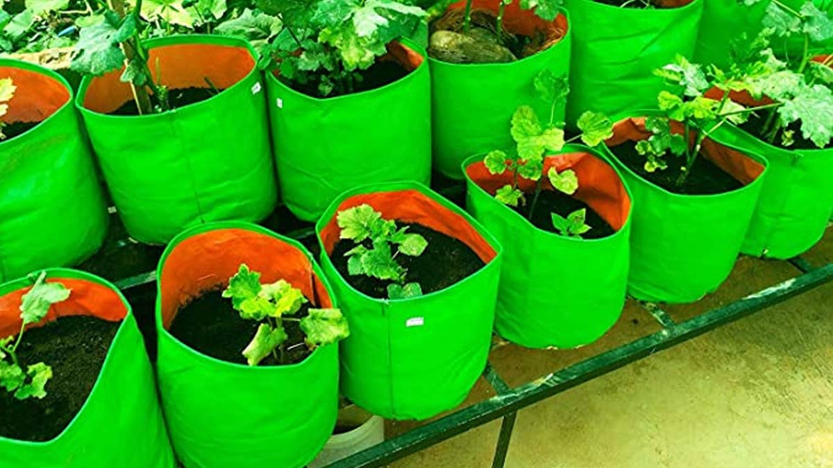 How To Make Grow Bags At Home घर पर ही बनाएं ग्रो बैग्स । Ghar Par